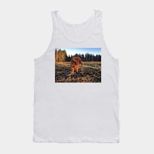 Scottish Highland Cattle Calf 1849 Tank Top